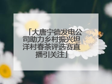 大唐宁德发电公司助力乡村振兴坦洋村春茶评选赛直播引关注